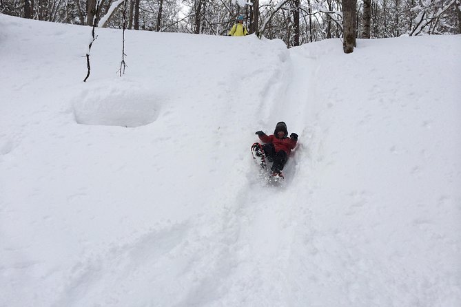 Snowshoe Hike Tour From Sapporo - Real Reviews From Happy Travelers