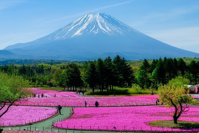 View of Mt. Fuji, Chureito Pagoda and Hakone Cruise Day Trip - Pricing and Special Offers