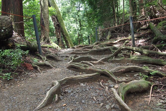 1 Day Hiking Tour in the Mountains of Kyoto - Getting to the Pickup Point