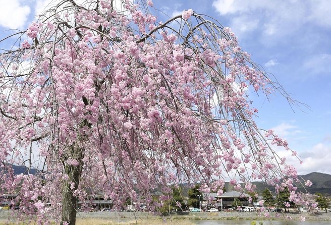 9-Day Japan and South Korea Highlight Tour - Important Notes and Reminders