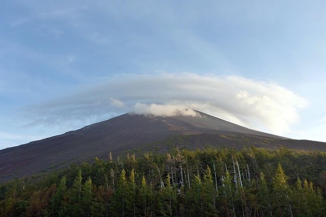 Bike Down Mount Fuji Tour - What to Expect and See