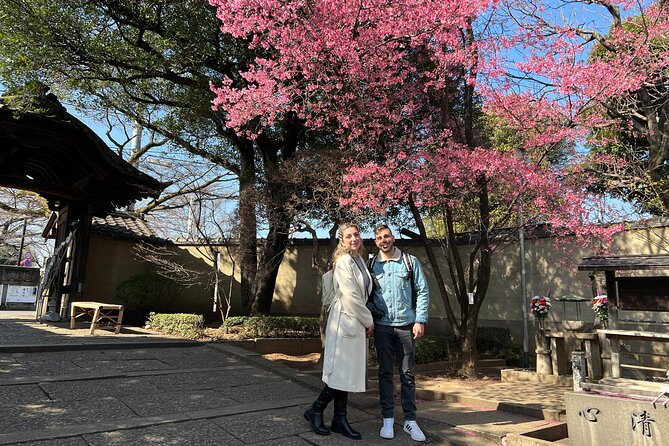 Experience Old and Nostalgic Tokyo: Yanaka Walking Tour - What to Expect From the Experience