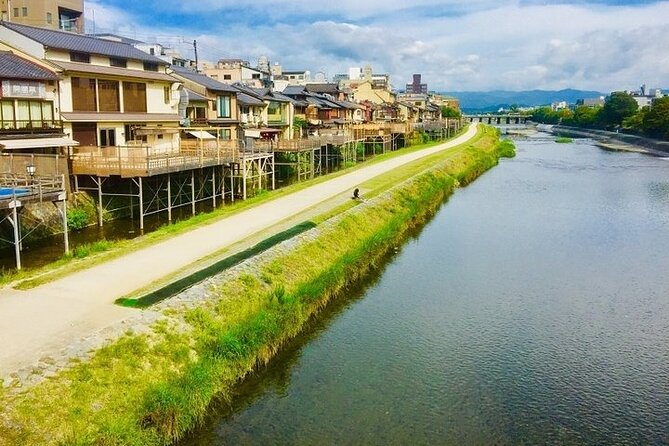 Full-Day Private Guided Tour to Kyoto City - Reviewing the Tour Experience