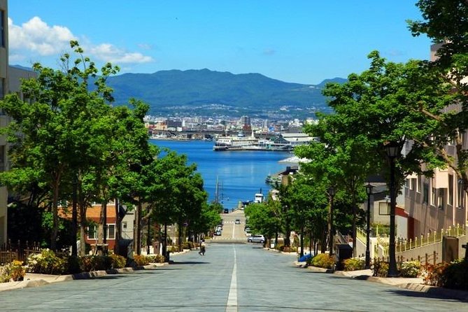 Hakodate Half-Day Private Tour With Government-Licensed Guide - Reviews and Testimonials