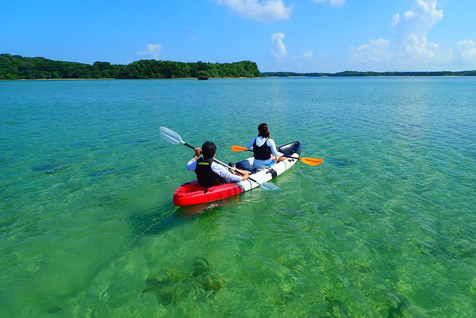 [Ishigaki] Kabira Bay SUP/Canoe Tour - Review Highlights