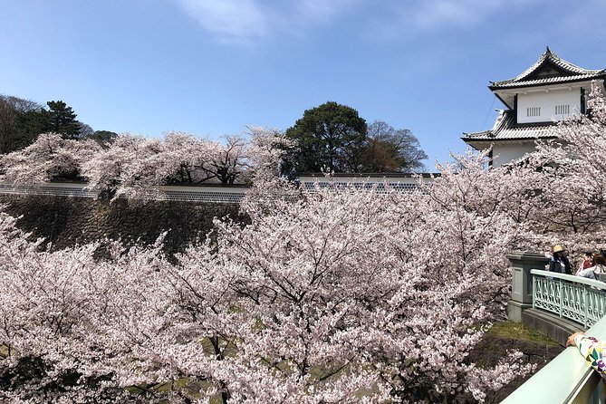 Kanazawa Highlights Tour Including Kenrokuen Garden - Cultural Treasures of the City