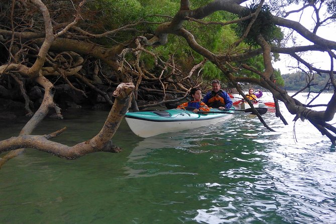 Kayak Mangroves or Coral Reef: Private Tour in North Okinawa - Booking and Cancellation Details