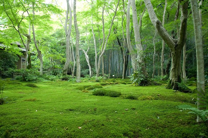 Kyoto Bamboo Forest Electric Bike Tour - Scenic Route and Attractions