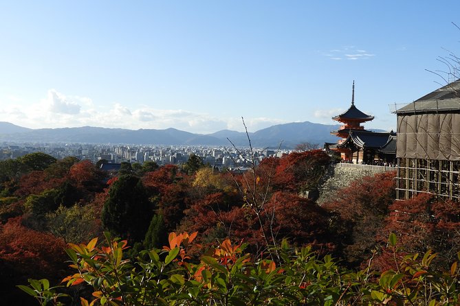 Kyoto Full Day (8 Hours) Sightseeing Privatetour - Cancellation and Refund Policy