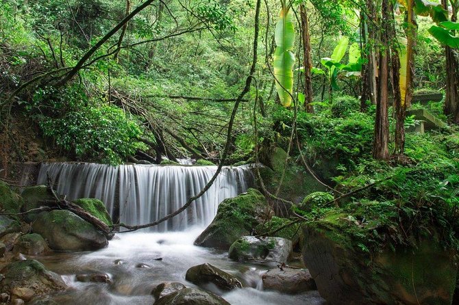 Miyazaki Valley Waterfall Hike - Tour Details and Logistics