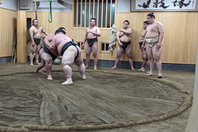 Morning Sumo Practice Viewing in Tokyo - Important Reminders for Visitors