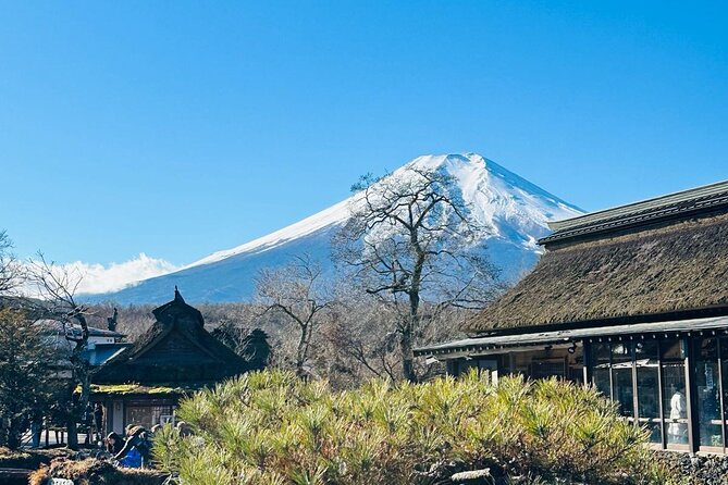 Mount Fuji Private One Day Tour With English Speaking Driver - Exclusions and Additional Fees