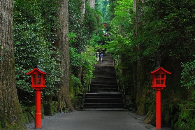 Mt Fuji and Hakone 1-Day Bus Tour Return by Bus - Important Tour Details