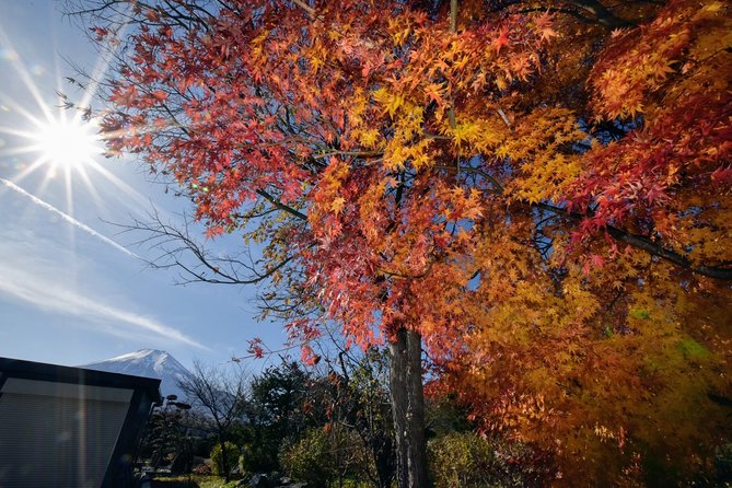 Mt. Fuji & Hakone Day Tour From Tokyo by Car With JP Local Guide - What to Expect on the Tour