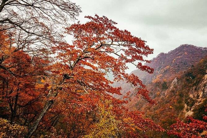 Nikko Private Day Trip With English Speaking Driver - Tips for Making the Most