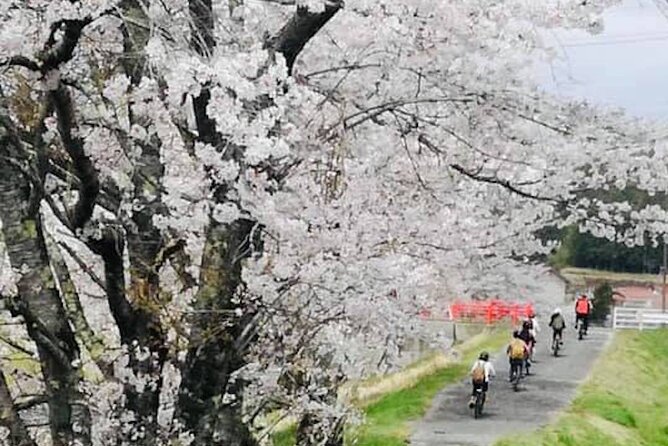 Oasa Country Cycling (Easy Access From Hiroshima 1 Hr Scenic Bus) - Cancellation and Refund Policy