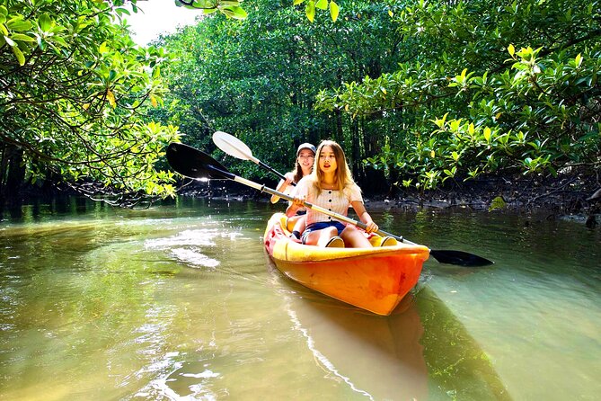 [Okinawa Iriomote] Sup/Canoe Tour in a World Heritage - Tour Inclusions and Exclusions