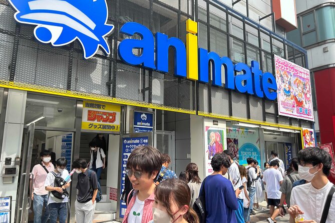 Private Akihabara Anime Guided Walking Tour - Expert Guide and Support