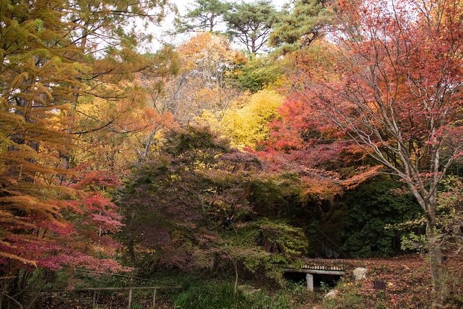 Private Car Day Trip to the Kobe Mountains, Gardens and Hot Springs From Osaka - Tour Pricing and Fees