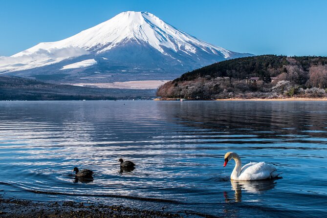 Private Mount Fuji Tour With English Speaking Chauffeur - Important Tour Policies