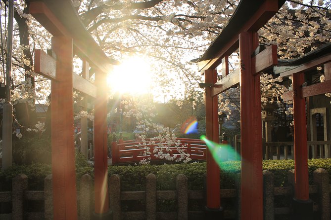 Private & Unique Kyoto Cherry Blossom Sakura Experience - Meeting and Getting Started