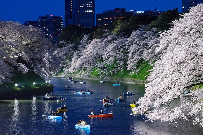 Cherry Blossom Private Tour - Preparing for Your Dream Tour