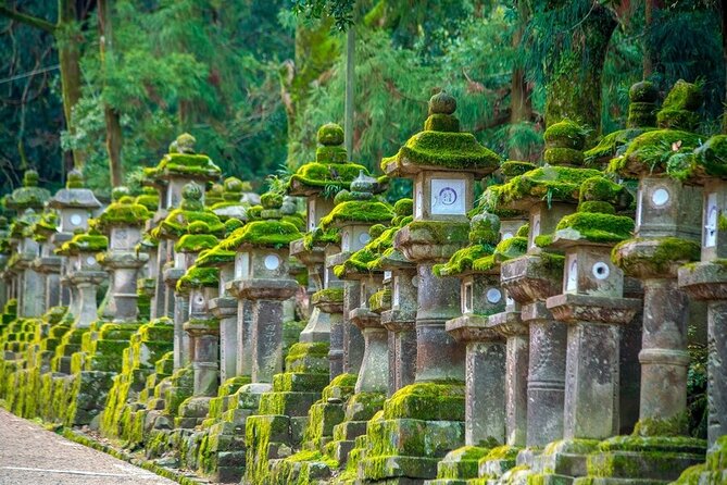 Explore the Best Spots of Arashiyama / Nara in a One Day Private Tour From Kyoto - Tips for a Smooth Journey