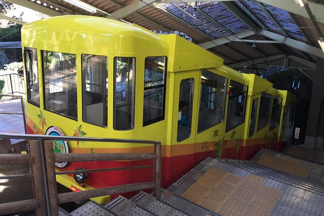 Full Day Hiking Tour at Mt.Takao Including Hot Spring - Reviews and Refund Policy