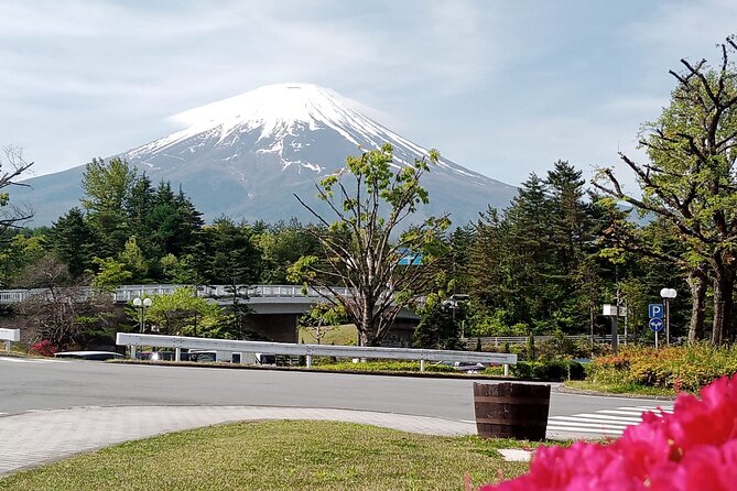 Full-day Private Mount Fuji Tour by Premium Car - Hassle-Free Pickup Services