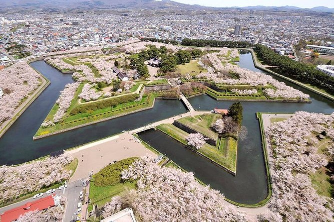 Hakodate Half-Day Private Tour With Government-Licensed Guide - Booking and Cancellation Policy