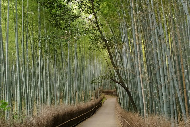 Kyoto Bamboo Forest Electric Bike Tour - Booking and Cancellation Policies