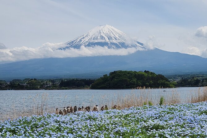 Mount Fuji Private One Day Tour With English Speaking Driver - Reviews and Testimonials