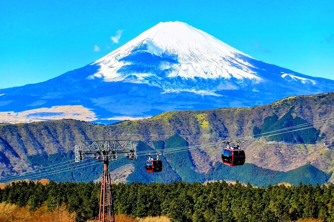 Mt Fuji and Hakone 1-Day Bus Tour Return by Bus - Reviews and Ratings