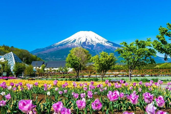 Mt. Fuji Flower Festival Tour With Ropeway Experience From Tokyo - Tour Logistics and Reminders