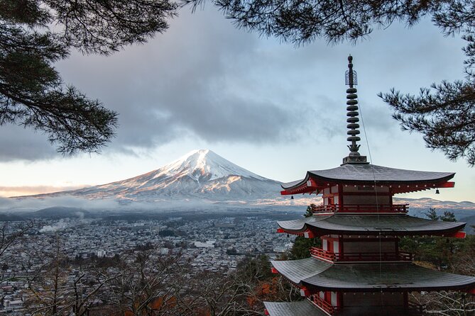 Mt Fuji, Hakone Private Tour by Car With Pickup - Tour Logistics and Details