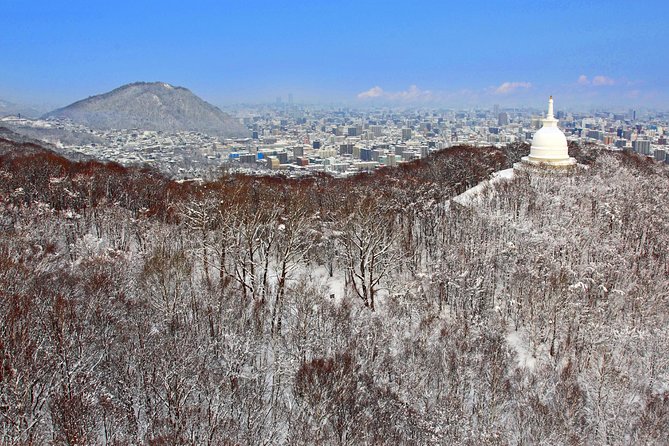 Mt. Moiwa Ropeway / Moriscar Ticket - What to Expect