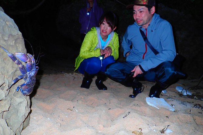 [Okinawa Iriomote] Night Adventure Tour - Booking and Refund Information