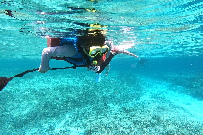 [Okinawa Iriomote] Snorkeling Tour at Coral Island - Tour Reviews and Ratings