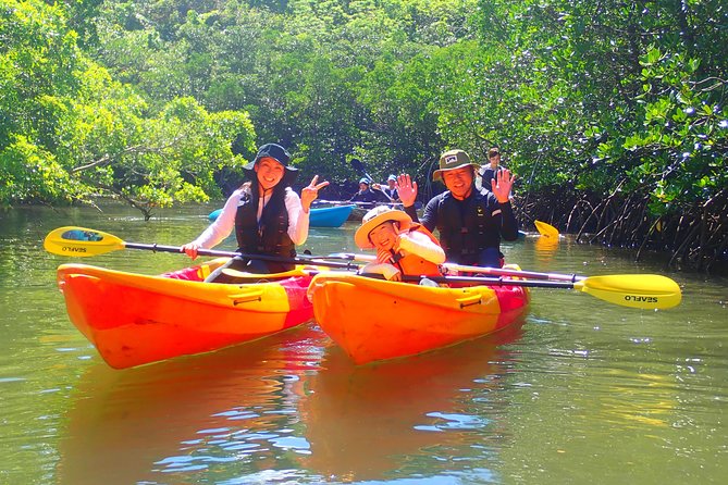 [Okinawa Iriomote] Sup/Canoe Tour in a World Heritage - Preparation and What to Bring