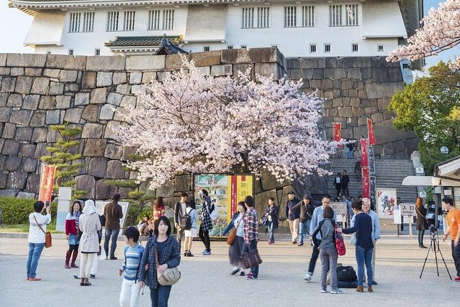 Osaka Cherry Blossom Tour With a Local: 100% Personalized Private - What to Expect From Reviews