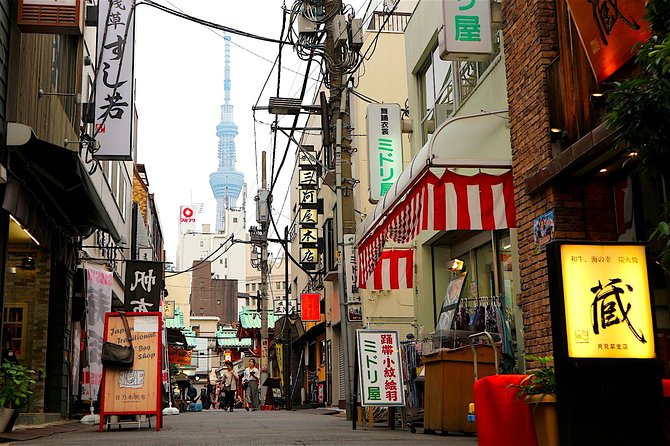 Private Customizable Walking Tour of Tokyo - Real Traveler Reviews and Ratings