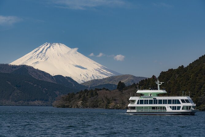 Private Mount Fuji Tour With English Speaking Chauffeur - Additional Services and Options