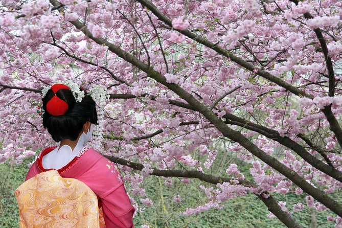 Private & Unique Tokyo Cherry Blossom Sakura Experience - Booking and Cancellation Policies