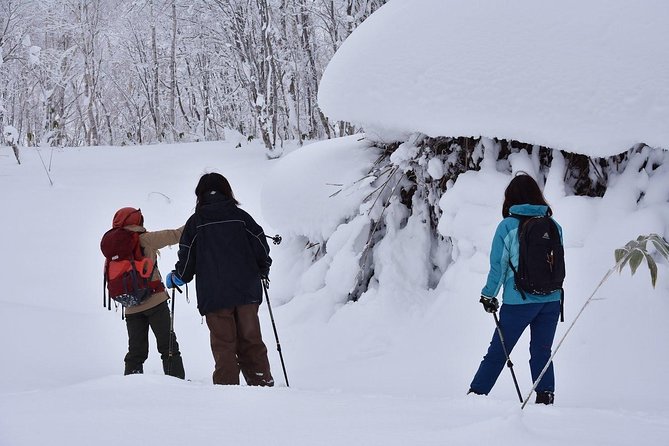 Snowshoe Hike Tour From Sapporo - Getting Ready for the Adventure