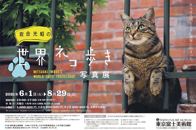 Tokyo Fuji Art Museum Admission Ticket + Special Exhibition (When Being Held) - Planning Your Museum Visit