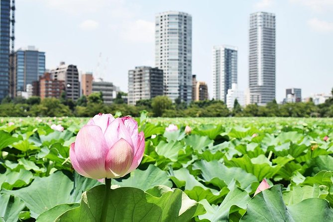 Tokyo Japanese Garden Lovers Private Tour With Government-Licensed Guide - Tour Logistics and Details