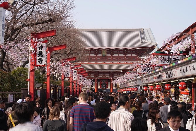 Japanese Sample Food Making Experience - What Others Are Saying