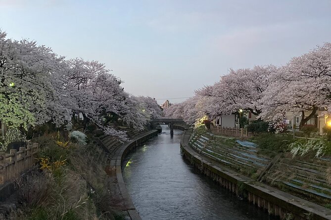 Private Kimono Stroll in Toyama City Possibly With a Shiba Inu - Essential Tour Information