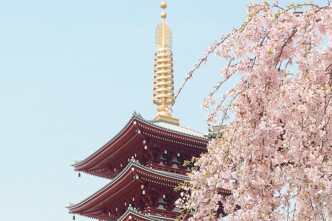 Private & Unique Kyoto Cherry Blossom Sakura Experience - Booking and Cancellation Details