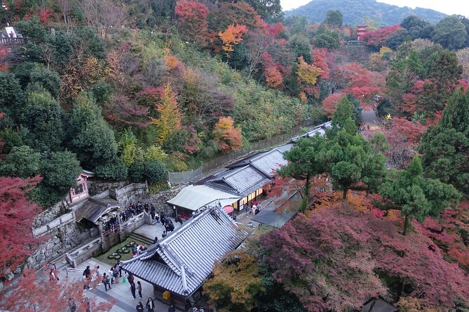 The Original Early Bird Tour of Kyoto. - Getting Ready for Takeoff